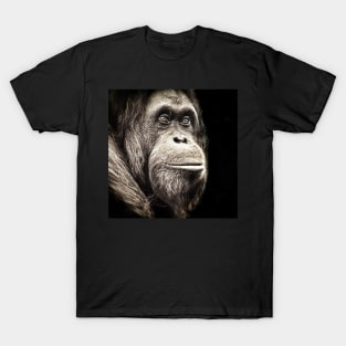 Orangutan Me? T-Shirt